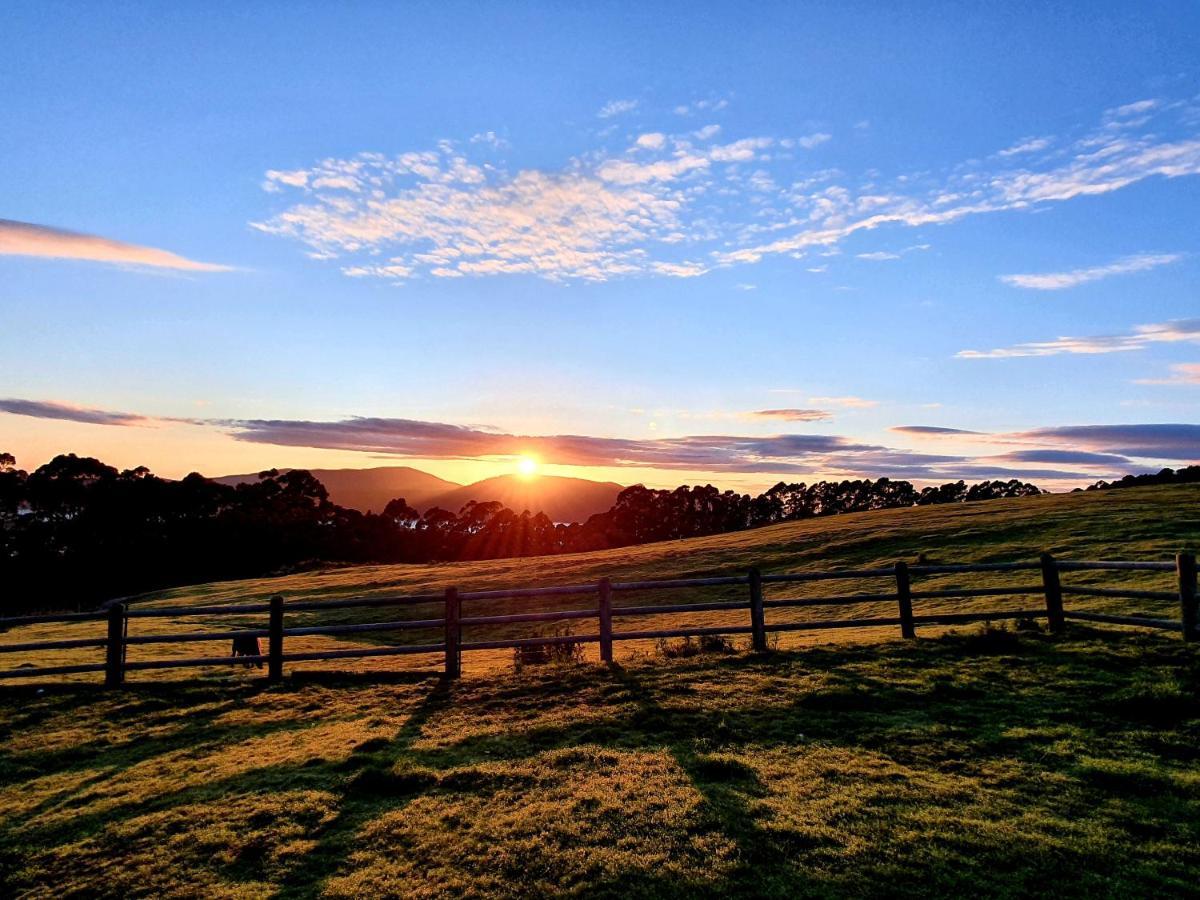 Ruby'S Cottage Farm Stay Port Arthur Exterior foto